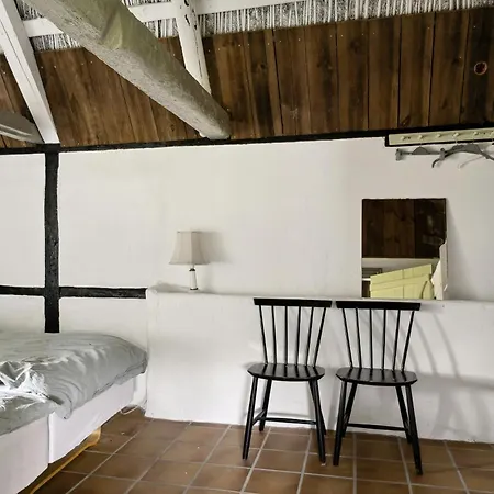 Renovated Stable With Seaweed Roof On Feriehus
