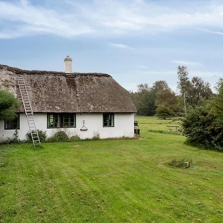 Feriehus Renovated Stable With Seaweed Roof On *