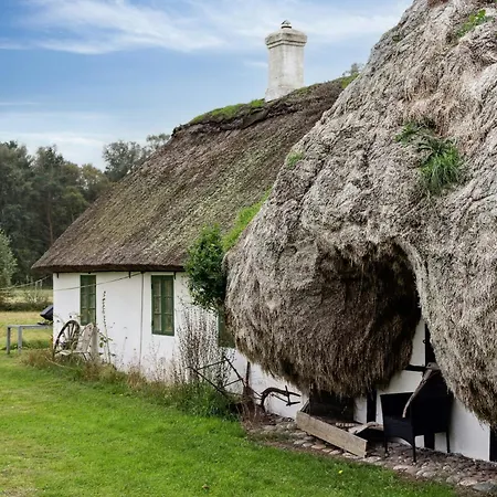 Renovated Stable With Seaweed Roof On * Laeso
