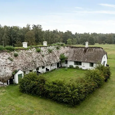 Renovated Stable With Seaweed Roof On Laeso